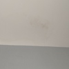 Pintar Interior De Vivienda
