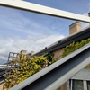Instalar Toldo Vivienda