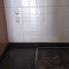 Limpieza Vivienda (1 vez)
