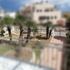 Cesped Artificial