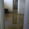 Limpieza Vivienda (1 vez)