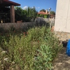 Desbrozar Jardín