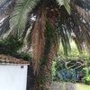 Otros Trabajos De Jardinería