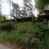 Desbrozar Jardín