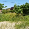 Desbrozar Jardín