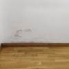 Pintar Interior De Vivienda
