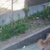 Otros Trabajos De Jardinería