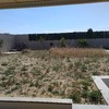 Hacer puesta a punto de jardín