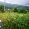 Desbrozar Jardín