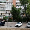 Talar árboles