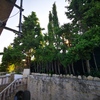 Talar árboles