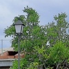 Proyecto y Reforma Vivienda