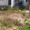 Desbrozar Jardín