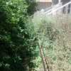 Desbrozar Jardín
