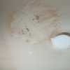 Pintar Interior De Vivienda