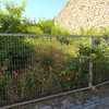 Desbrozar Jardín