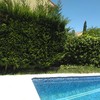 Mantener Jardín