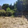 Desbrozar Jardín