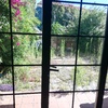 Desbrozar Jardín