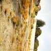 Movimiento de Tierras
