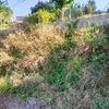 Realizar Excavación
