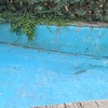Reforma Piscina