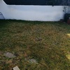 Cesped Artificial