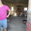 Reforma Vivienda