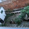 Desbrozar Jardín
