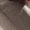 Fumigación o Desinsectación