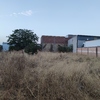 Desbrozar Jardín