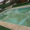 Limpieza puntual de piscina