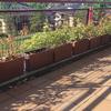 Otros Trabajos De Jardinería