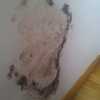 Pintar Interior De Vivienda
