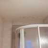 Pintar Interior De Vivienda