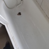 Cambiar Bañera Por Ducha