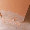 Reforma Vivienda