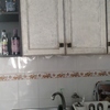 Lacar Muebles