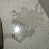 Pulir Suelo Vivienda (Parcial)