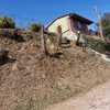 Construir Muro
