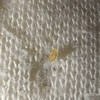 Fumigación o Desinsectación