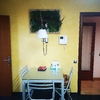 Pintar Interior De Vivienda