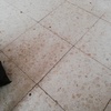 Pulir Suelo Vivienda (Completa)