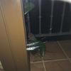 Cambiar cristales en puertas y ventanas