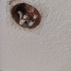 Otros Trabajos De Antenas