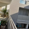 Cortinas Cristal