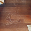 Lijar (Acuchillar) y Barnizar Parquet (Completo)