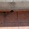 Arreglar Goteras