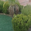 Otros Trabajos De Jardinería