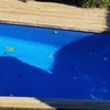 Alicatar Piscina